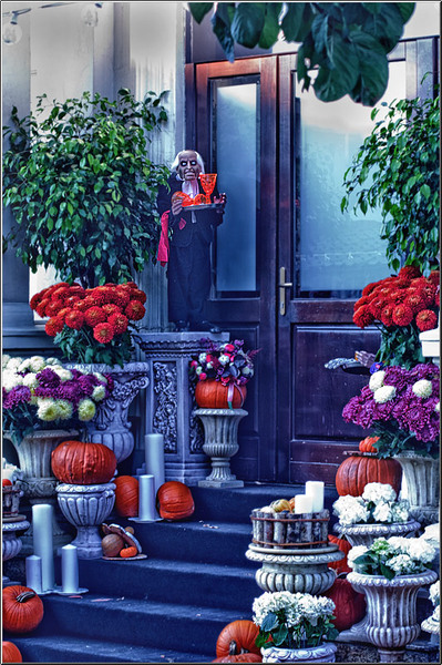 serbanvornicu_31oct_08