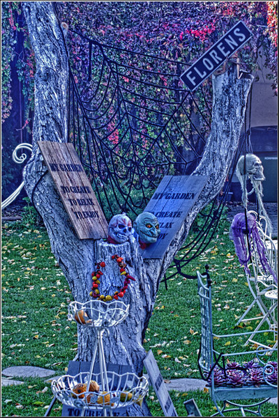 serbanvornicu_31oct_09