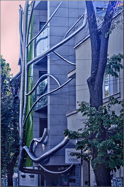 serbanvornicu_31oct_10