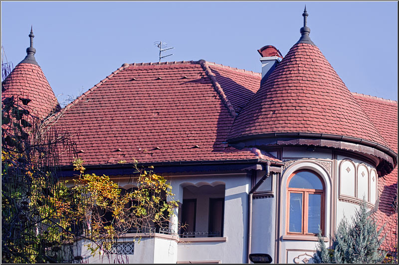 serbanvornicu_31oct_14