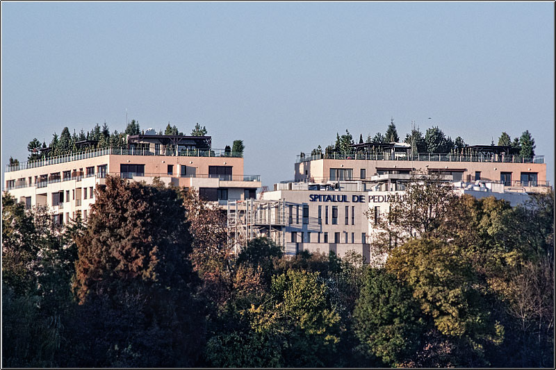 serbanvornicu_31oct_26