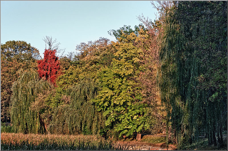 serbanvornicu_31oct_27