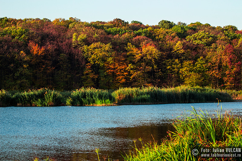 iulian-vulcan_wwwtablouriunicatro_img_5154