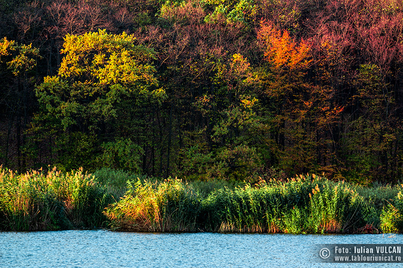 iulian-vulcan_wwwtablouriunicatro_img_5156