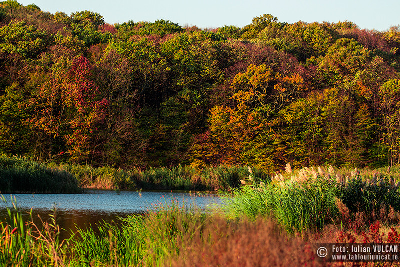iulian-vulcan_wwwtablouriunicatro_img_5168