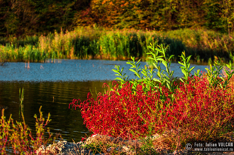 iulian-vulcan_wwwtablouriunicatro_img_5186