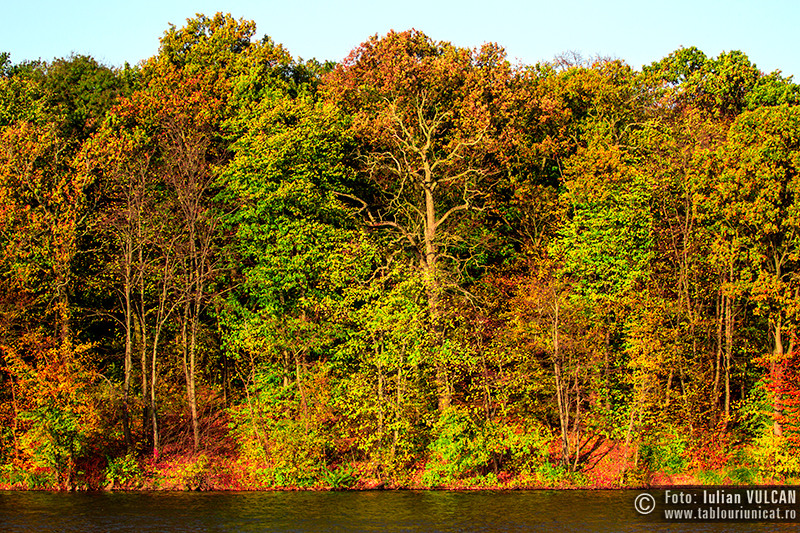 iulian-vulcan_wwwtablouriunicatro_img_5199