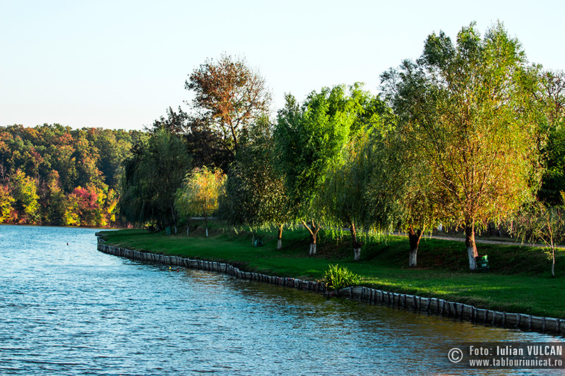 iulian-vulcan_wwwtablouriunicatro_img_5218