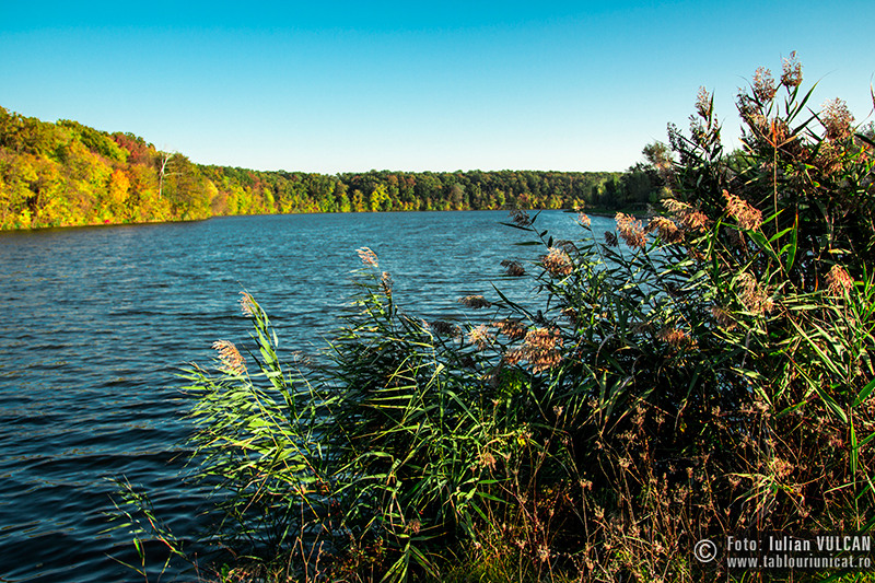 iulian-vulcan_wwwtablouriunicatro_img_5255