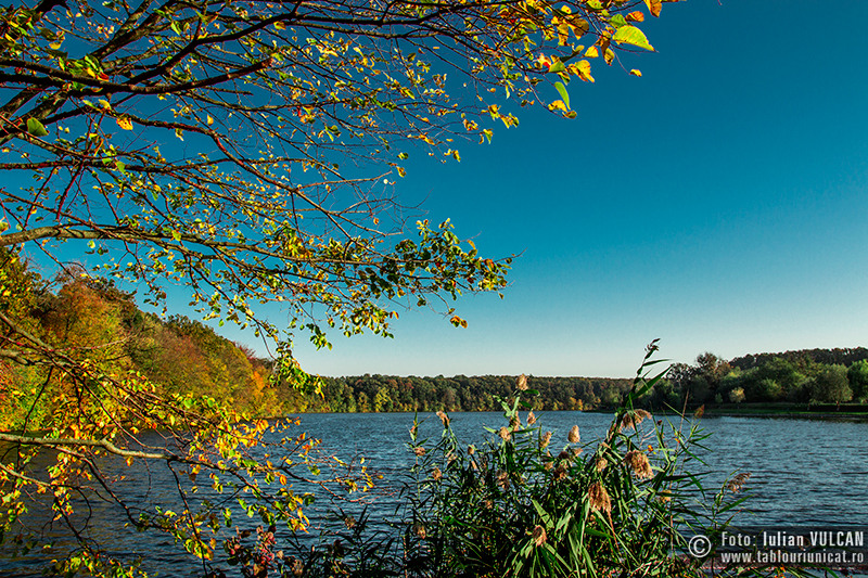 iulian-vulcan_wwwtablouriunicatro_img_5300