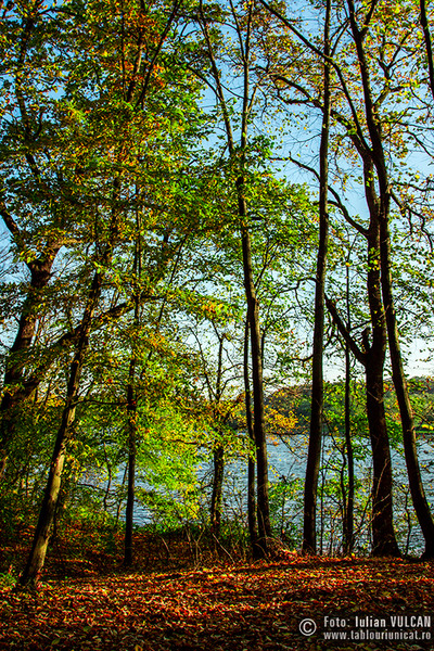 iulian-vulcan_wwwtablouriunicatro_img_5345