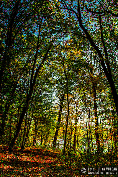 iulian-vulcan_wwwtablouriunicatro_img_5416