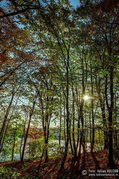 iulian-vulcan_wwwtablouriunicatro_img_5448