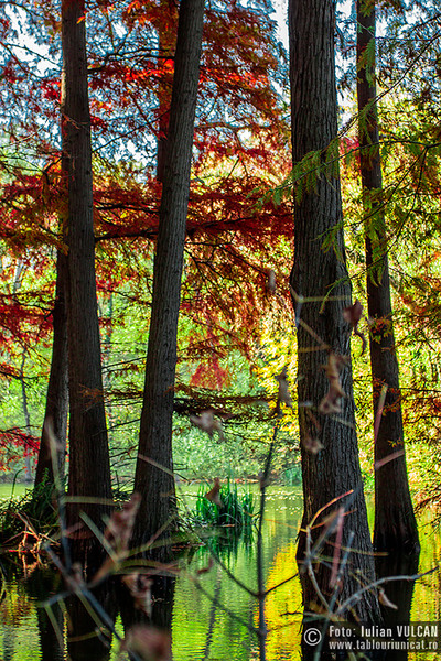 iulian-vulcan_wwwtablouriunicatro_img_5890