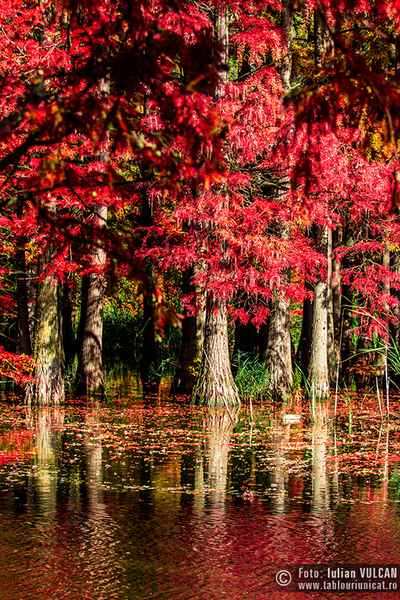 iulian-vulcan_wwwtablouriunicatro_img_6132