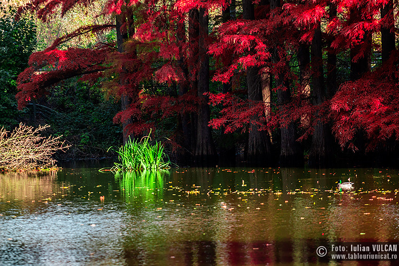 iulian-vulcan_wwwtablouriunicatro_img_6174