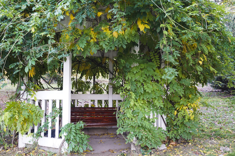 excursie-foto-primaverii-47