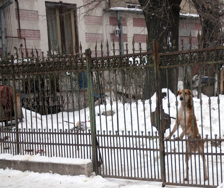 fotografia_826-copy-copy