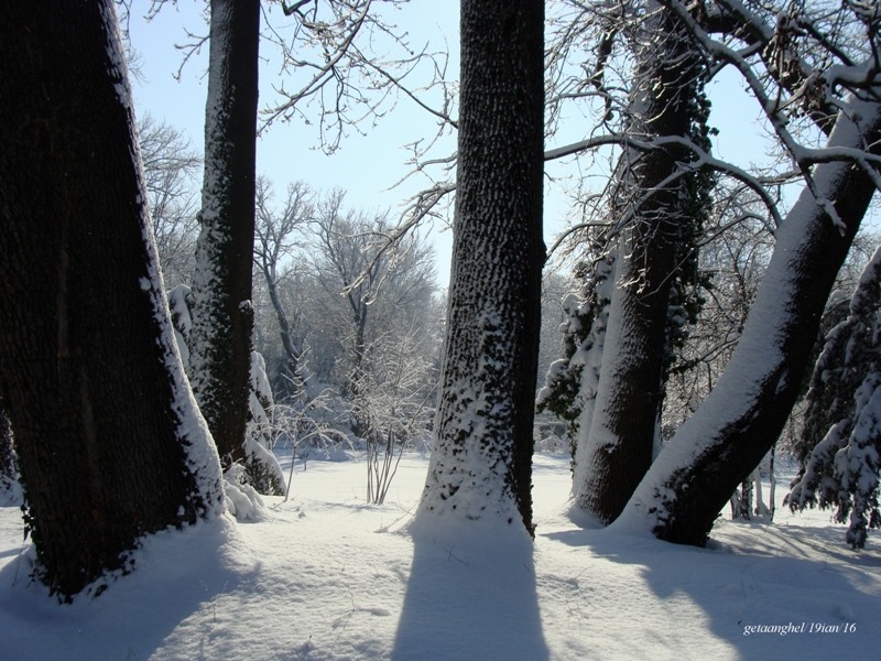 dsc00629masa-rotunda