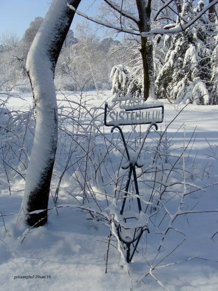 dsc00638aleea-sistemului