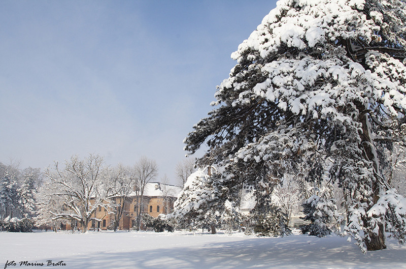 La Palatul Mogosoaia