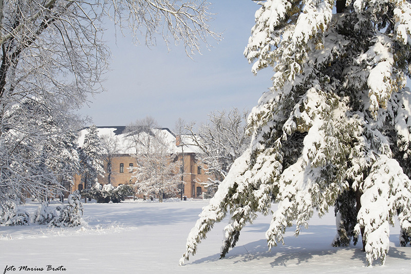 La Palatul Mogosoaia