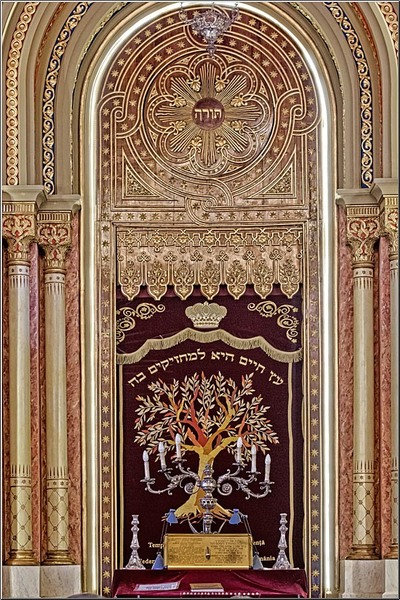 serban_vornicu_coral_01