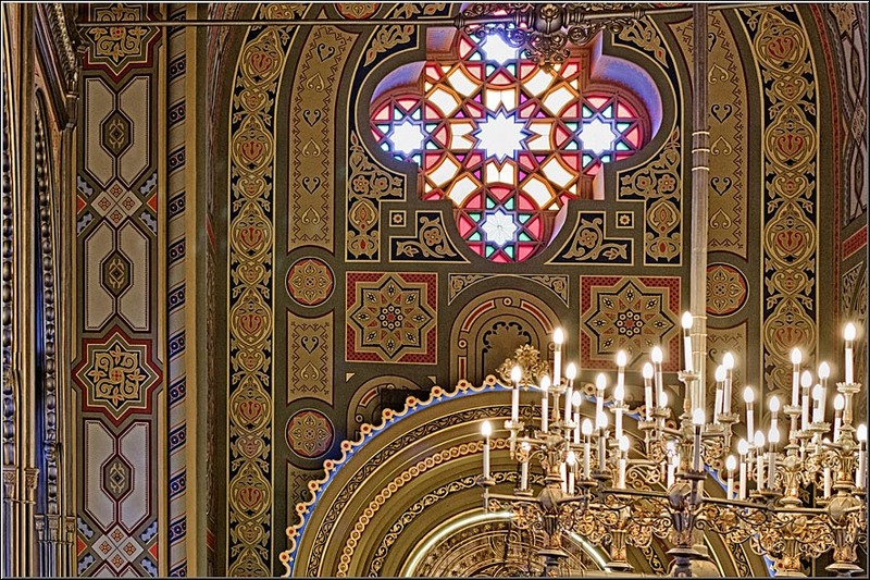 serban_vornicu_coral_03