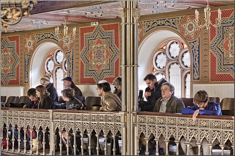 serban_vornicu_coral_04