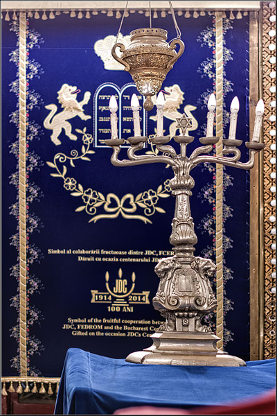 serban_vornicu_coral_10