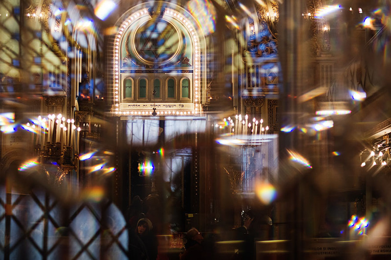 serban_vornicu_coral_12