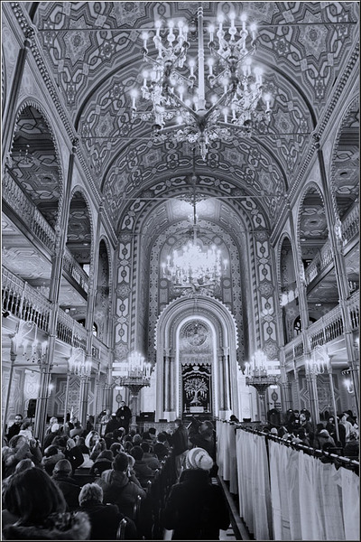 serban_vornicu_coral_14