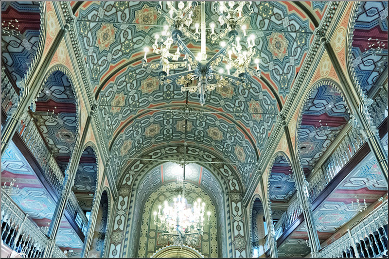 serban_vornicu_coral_15