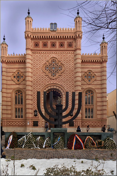 serban_vornicu_coral_16