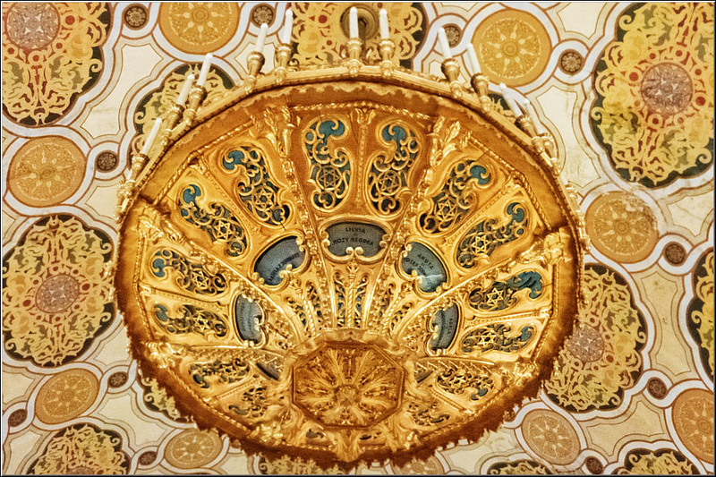 serban_vornicu_coral_18