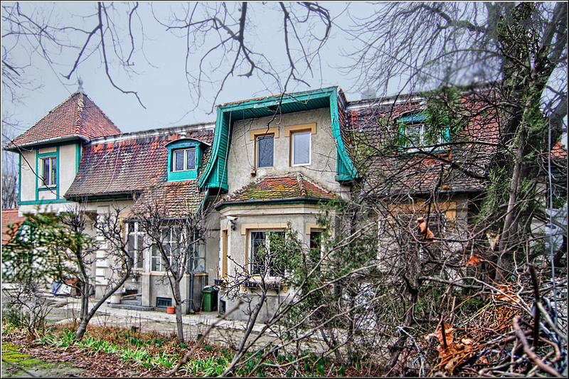 serban_vornicu_basarab-ppalatului_10