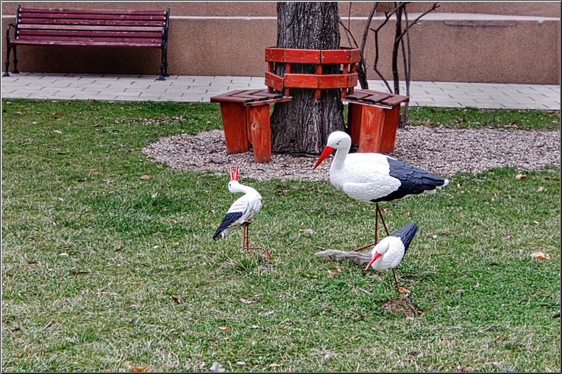 serban_vornicu_basarab-ppalatului_22