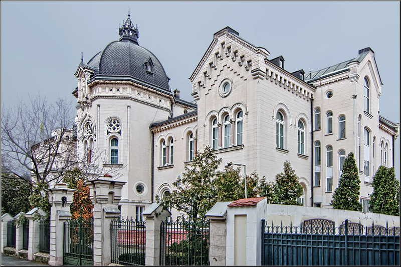 serban_vornicu_basarab-ppalatului_27