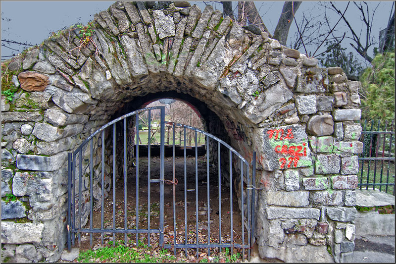 serban_vornicu_basarab-ppalatului_29