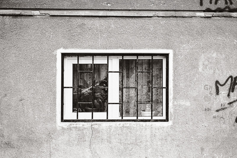 de-la-basarab-la-sala-palatului_11