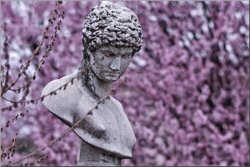 serbanvornicu-pastelecailor_03