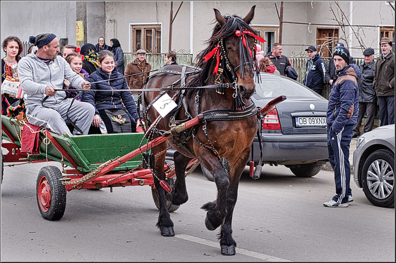 serbanvornicu-pastelecailor_17