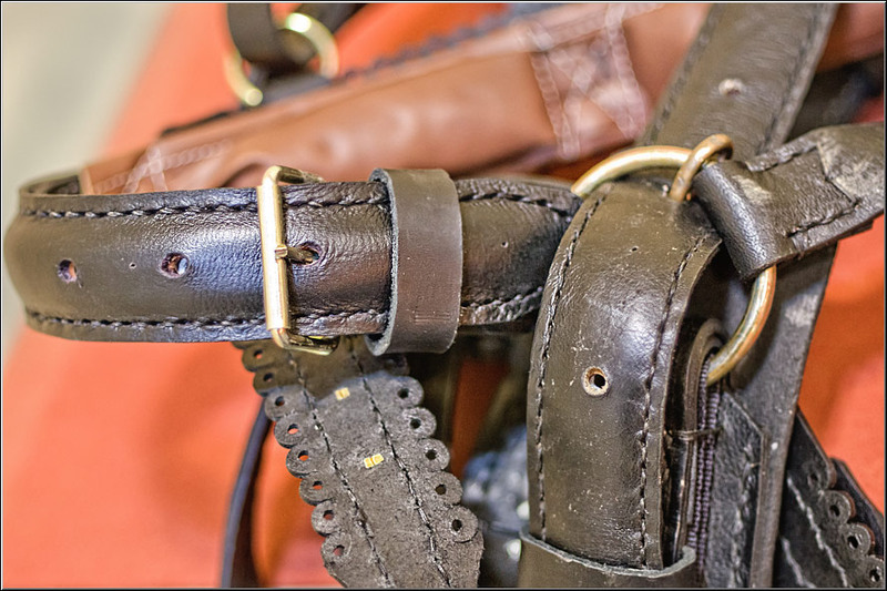 serbanvornicu-pastelecailor_22