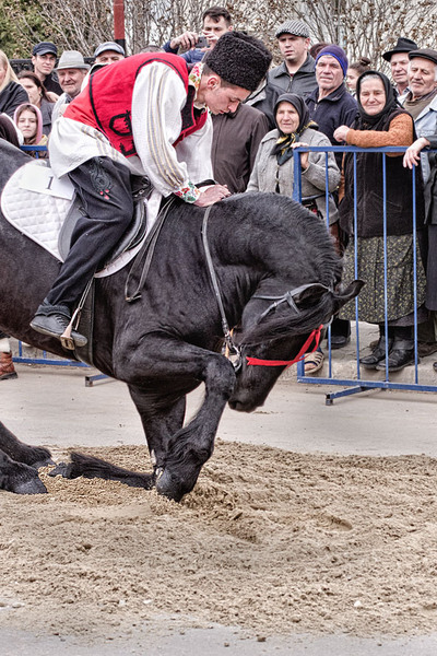 serbanvornicu-pastelecailor_24