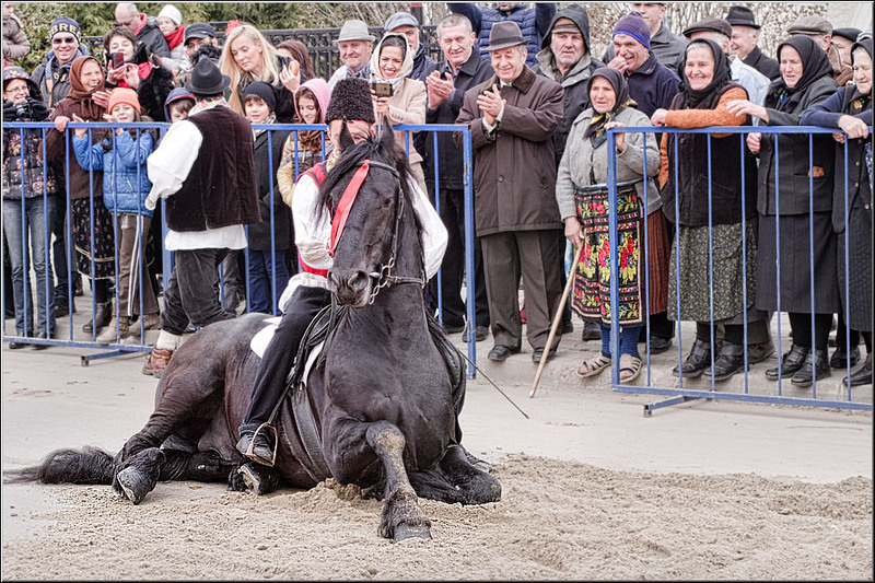 serbanvornicu-pastelecailor_25