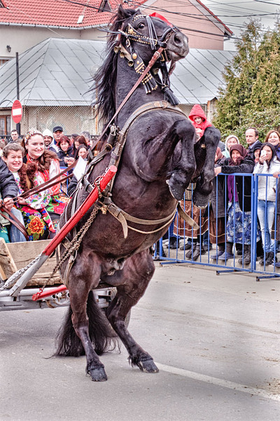 serbanvornicu-pastelecailor_27