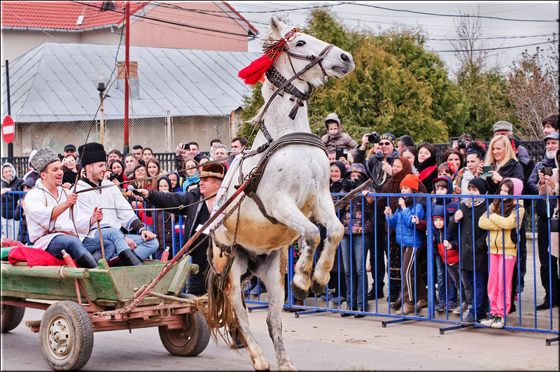 serbanvornicu-pastelecailor_28