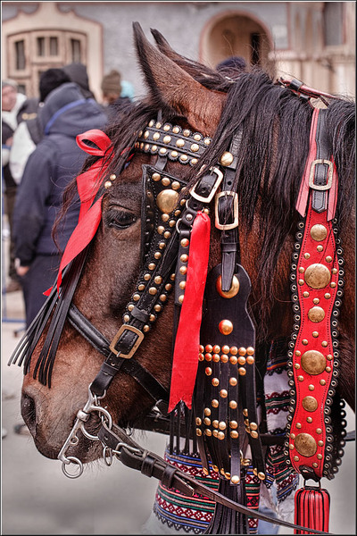 serbanvornicu-pastelecailor_31