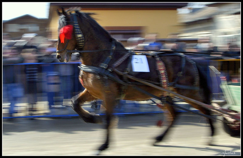 4373350609_52d86d29f3_b