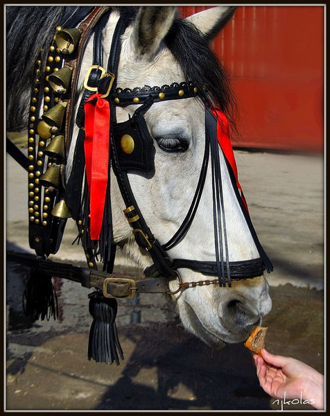 4375264046_6a5b6b20a3_b